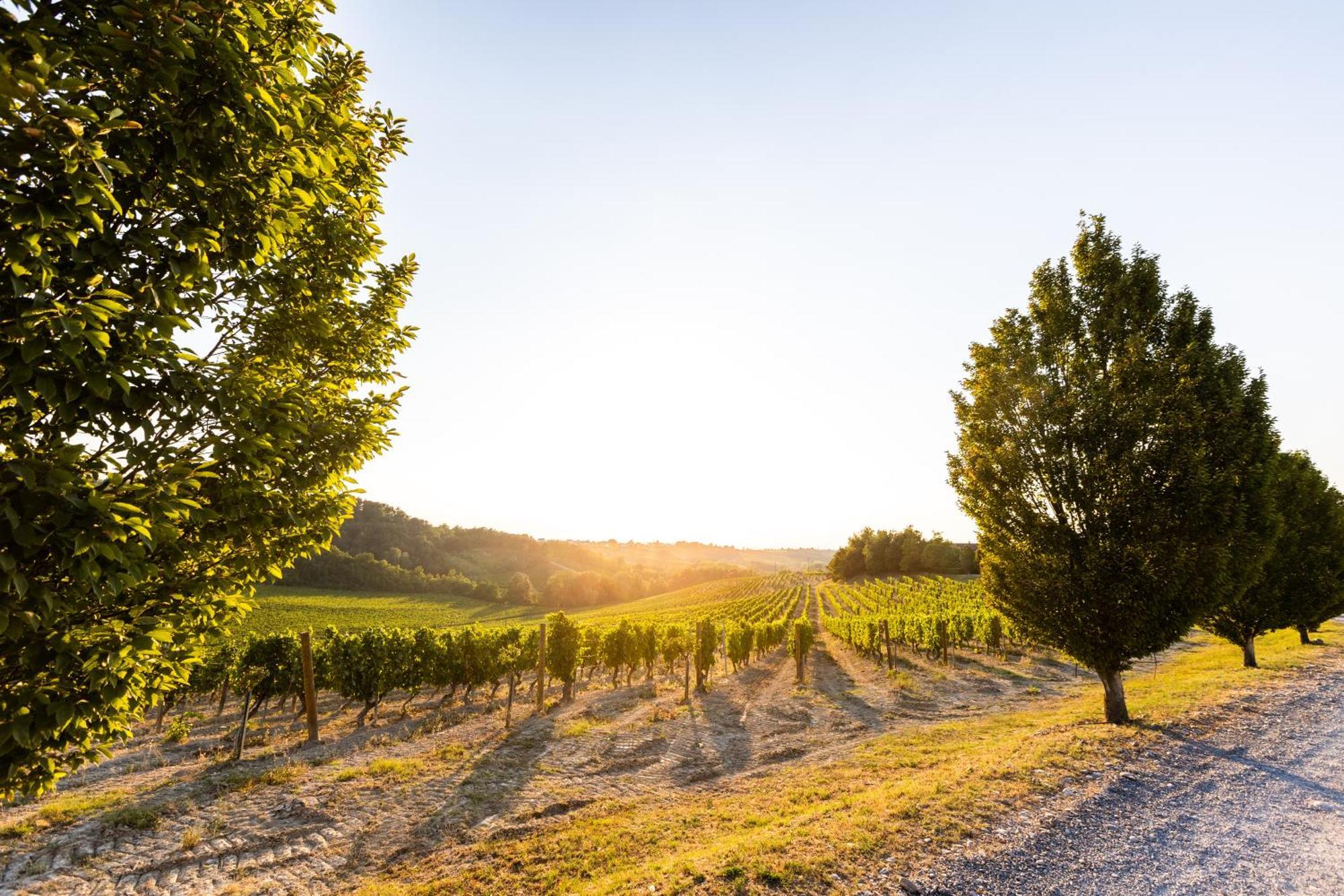 Tenuta La Meirana Gavi Εξωτερικό φωτογραφία