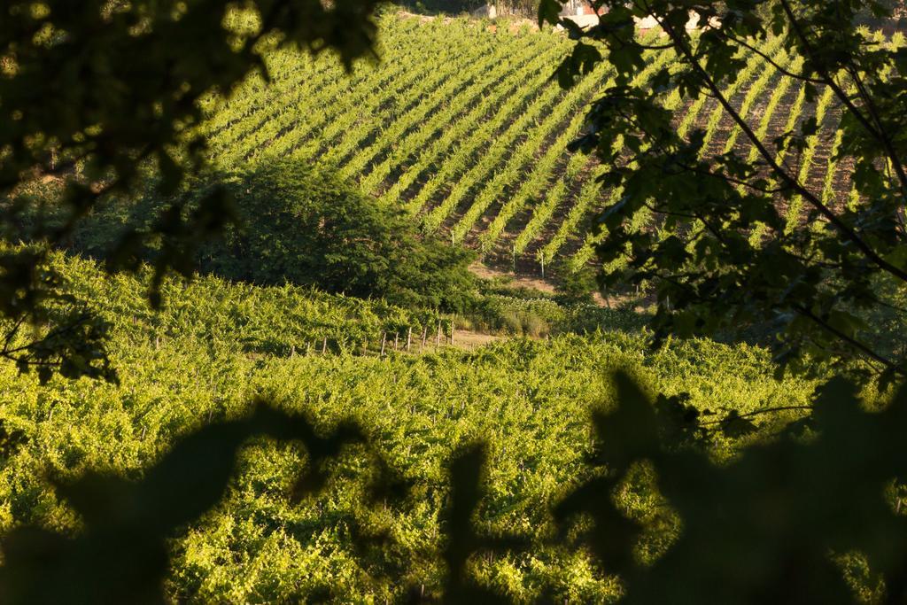 Tenuta La Meirana Gavi Εξωτερικό φωτογραφία