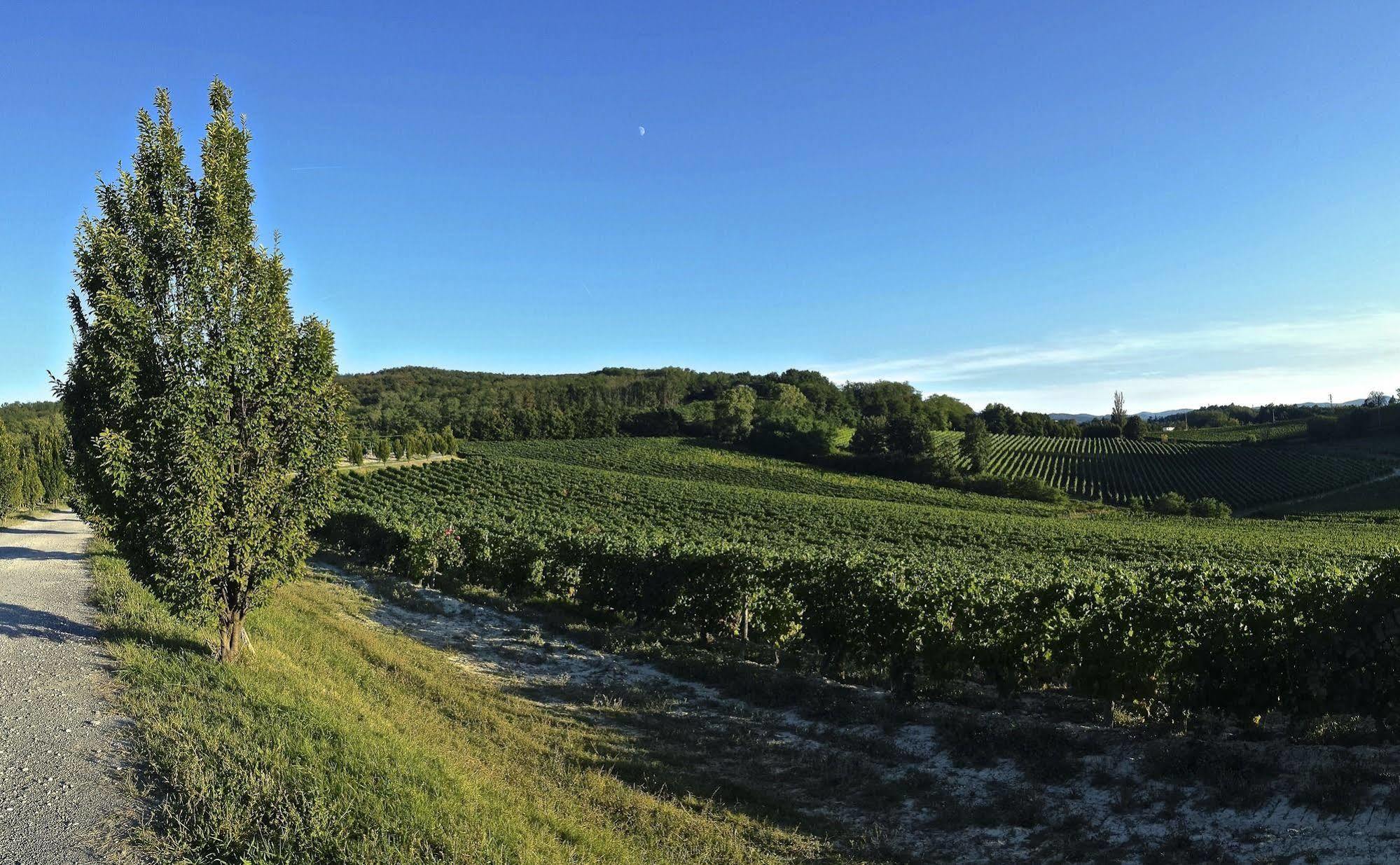 Tenuta La Meirana Gavi Εξωτερικό φωτογραφία